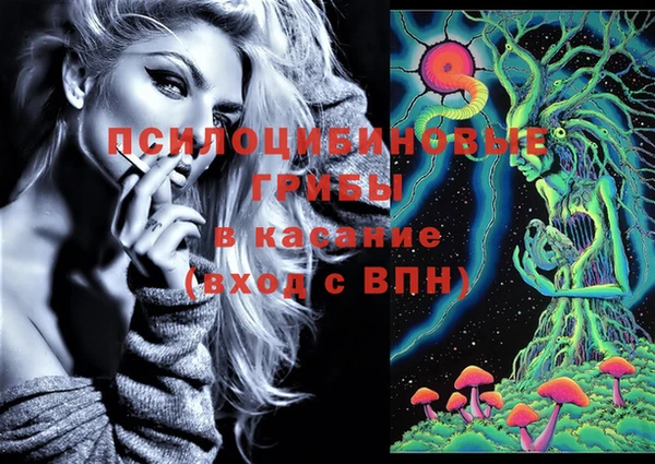 дурь Абаза