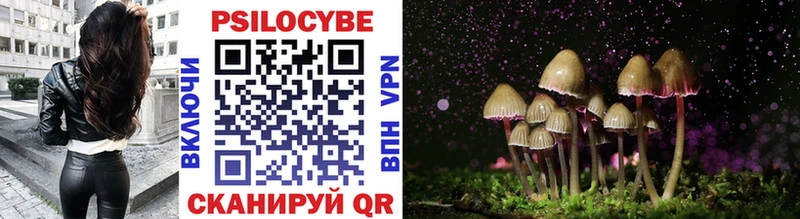 Псилоцибиновые грибы Psilocybine cubensis  Абаза 